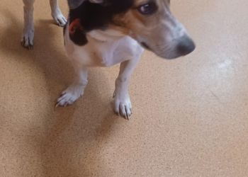 Powiększ zdjęcie: Resized_20260204_082455